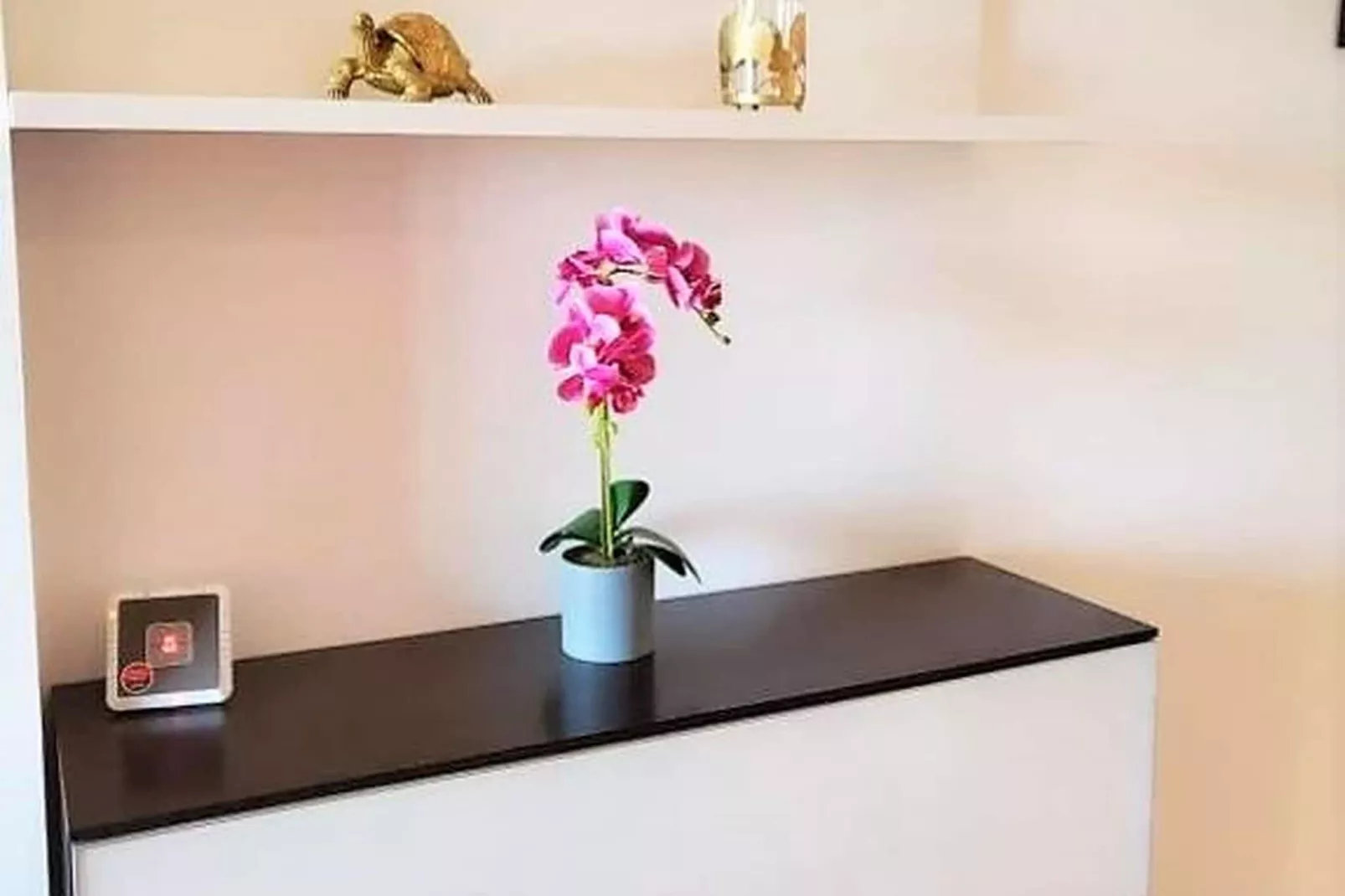 Valle del Este las Yucas-Ambiance