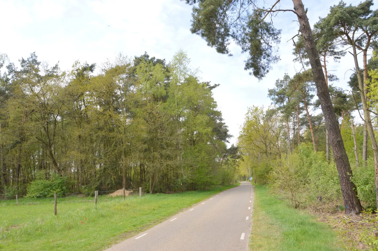 Bungalow 86-Areas summer 20km