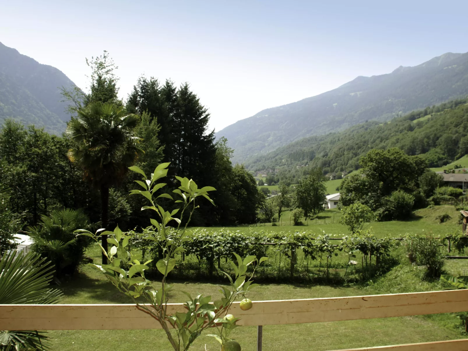 Vista Valle-Draußen