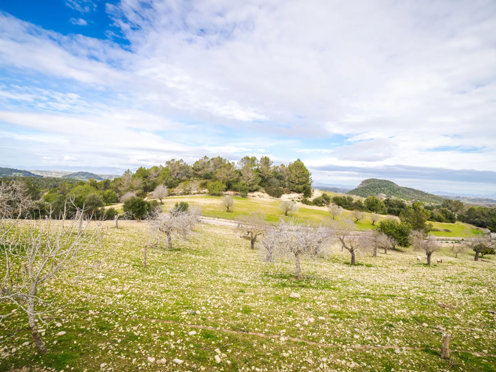 Sant Joan-Outside