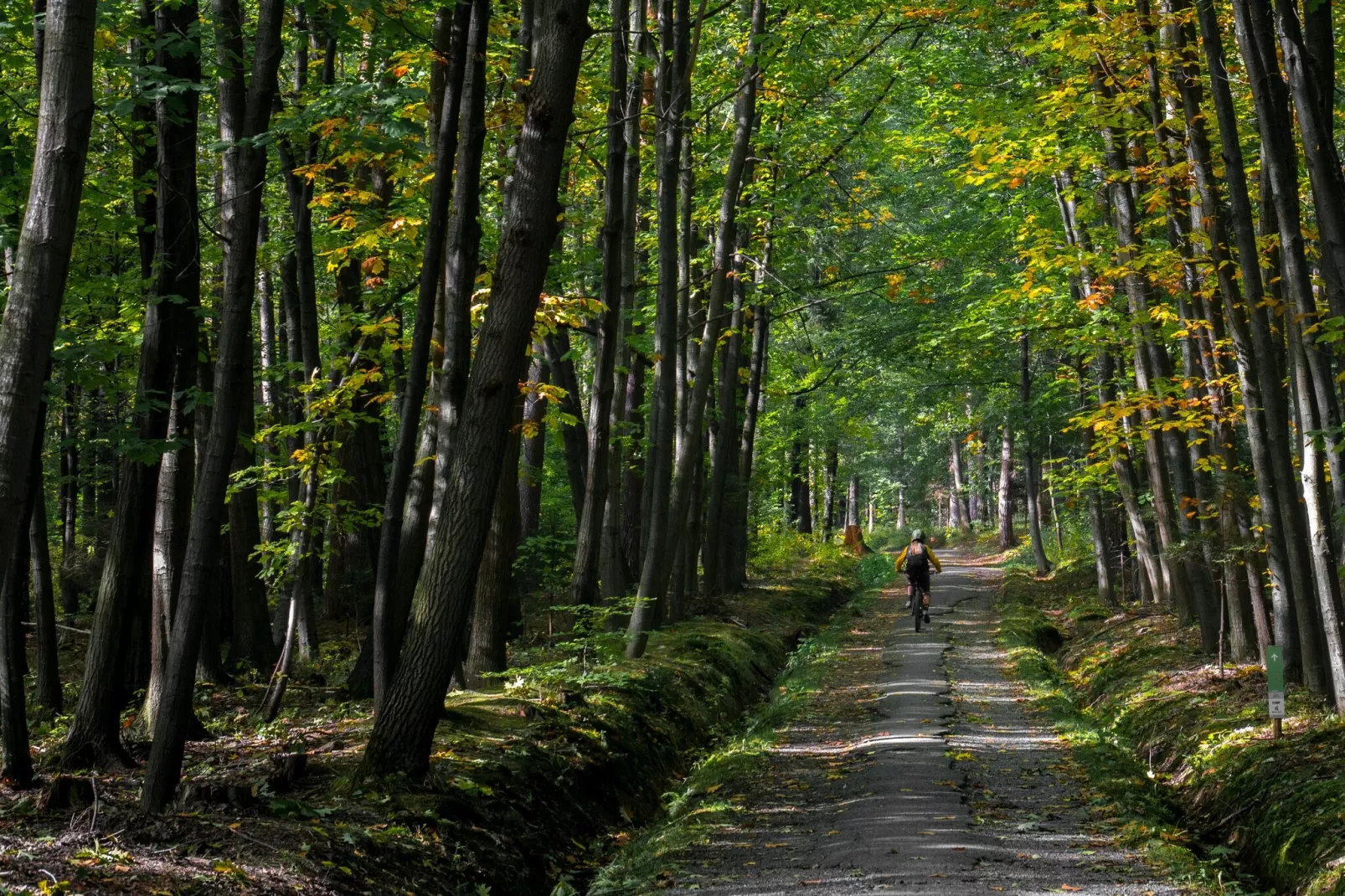Christiania-Areas summer 1km