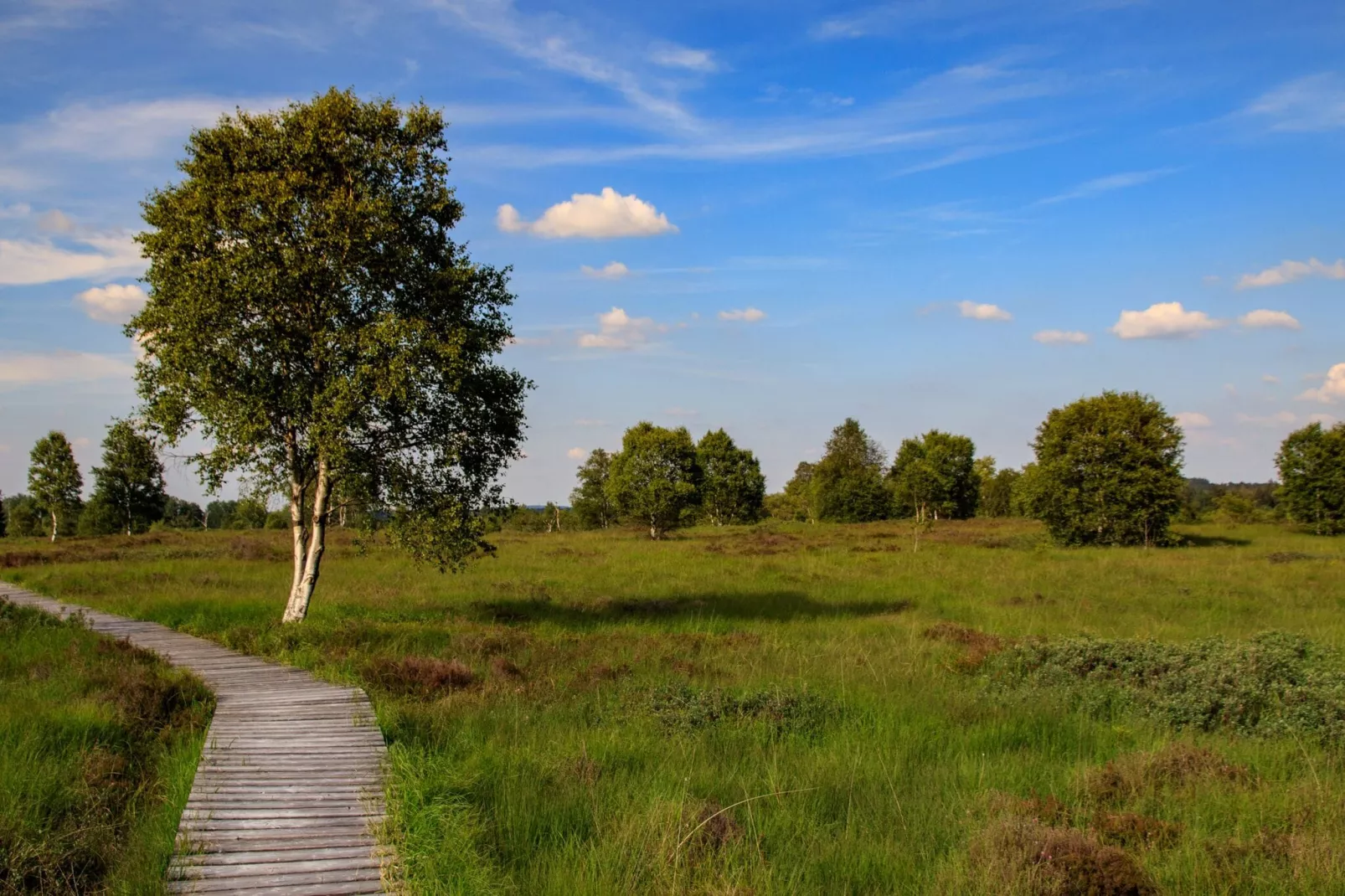 Christiania-Areas summer 20km