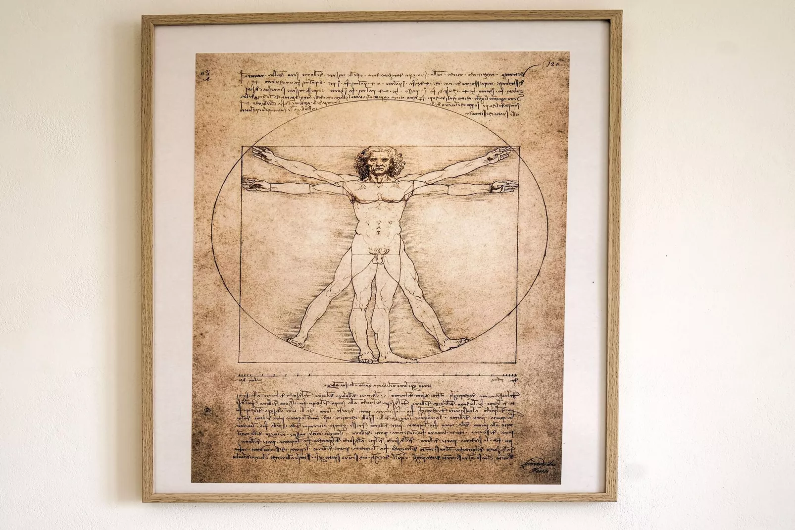 Villa Leonardo Da Vinci-Ambiente