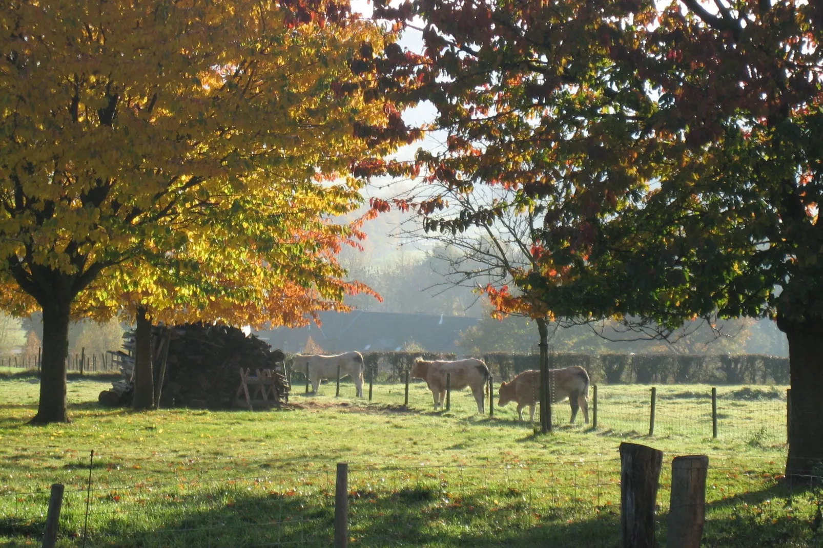 I gen Roemel-Garden winter