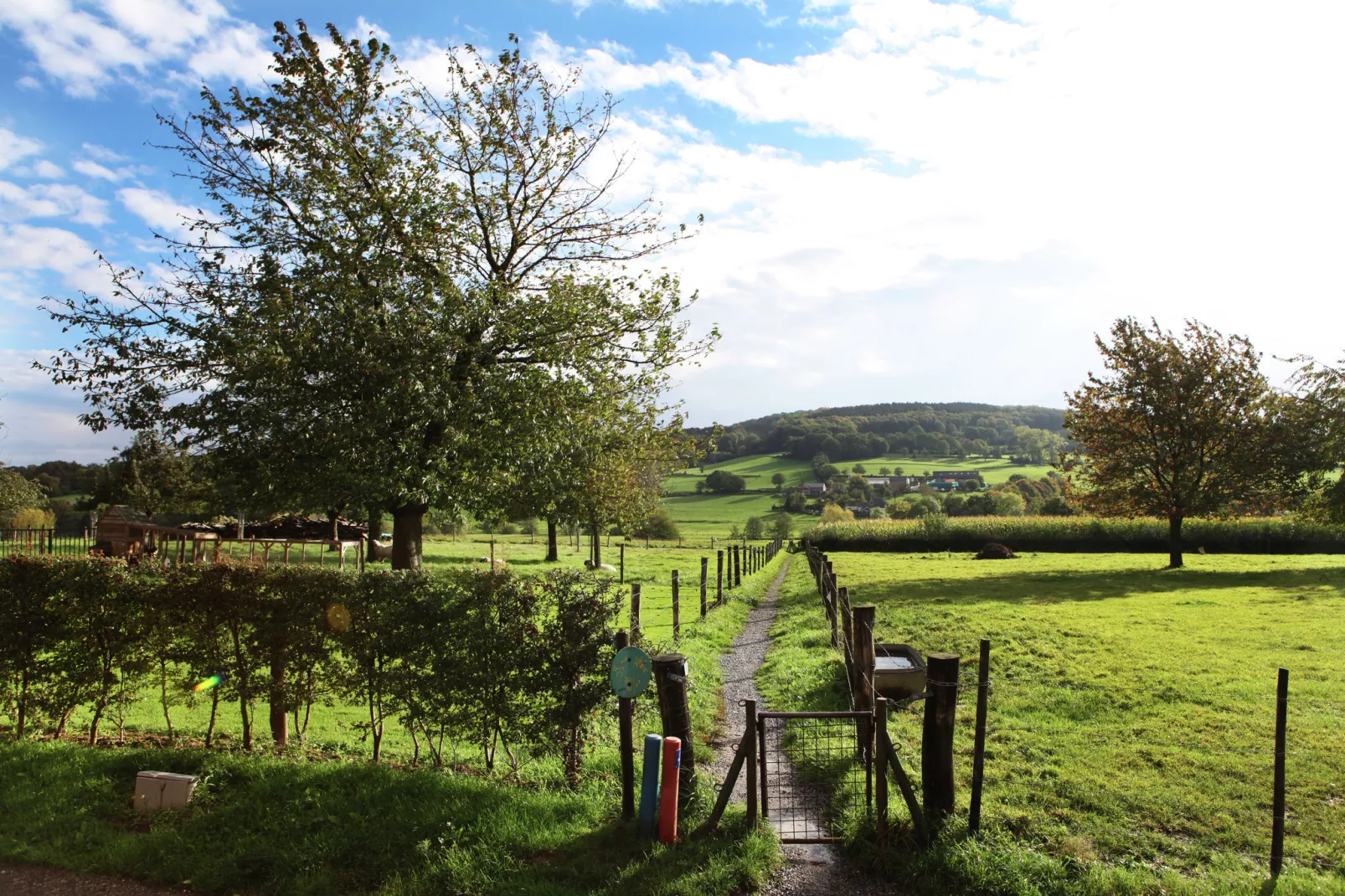 I gen Roemel-View summer