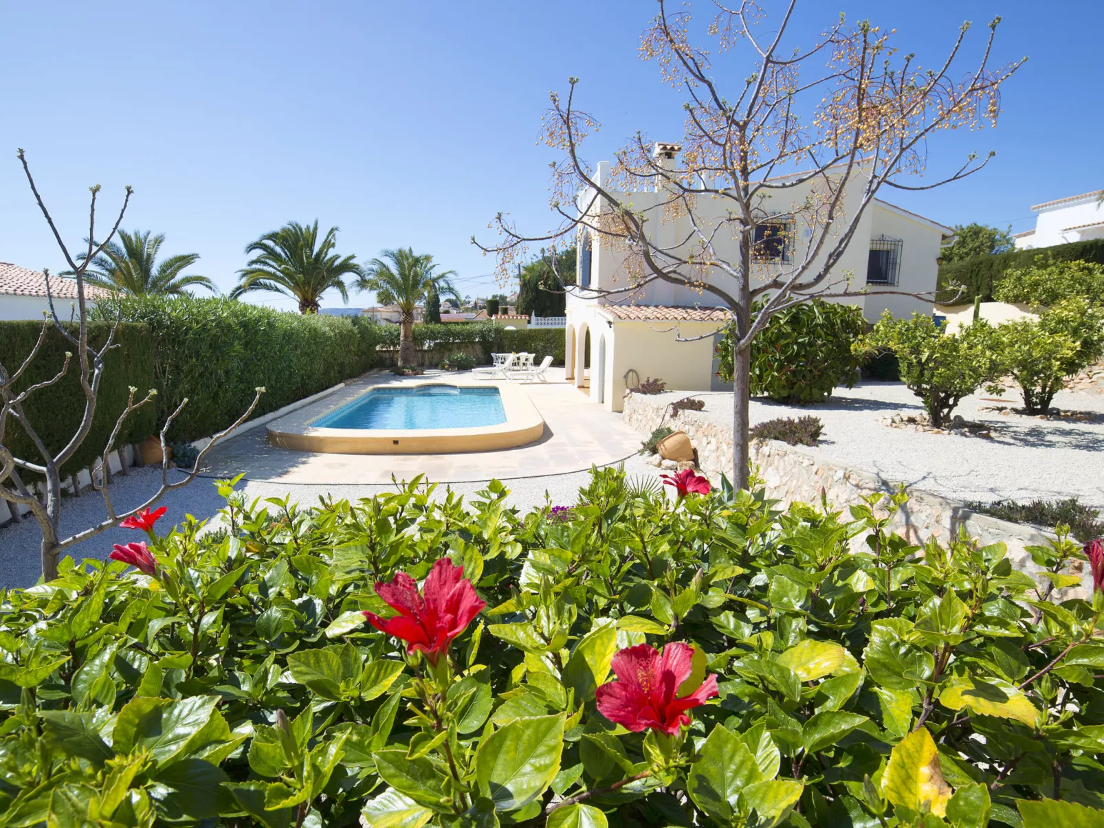 Villa Colibri-Outside