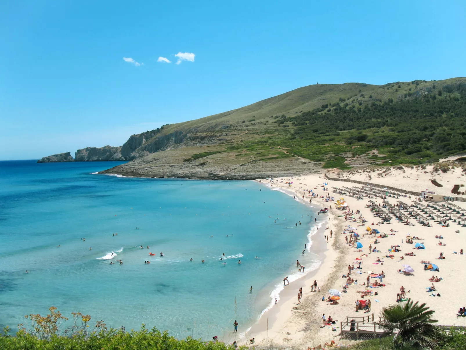 Cala Mesquida-Area