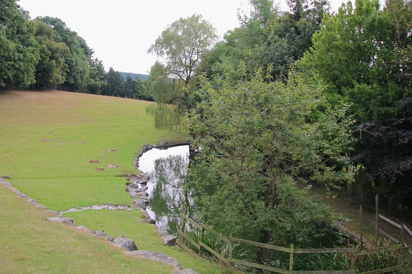 Mon daim-Gebiete Sommer 1 km