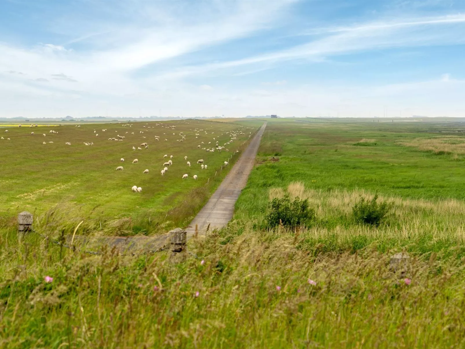 "Annagrete" - 12km from the sea-Outside