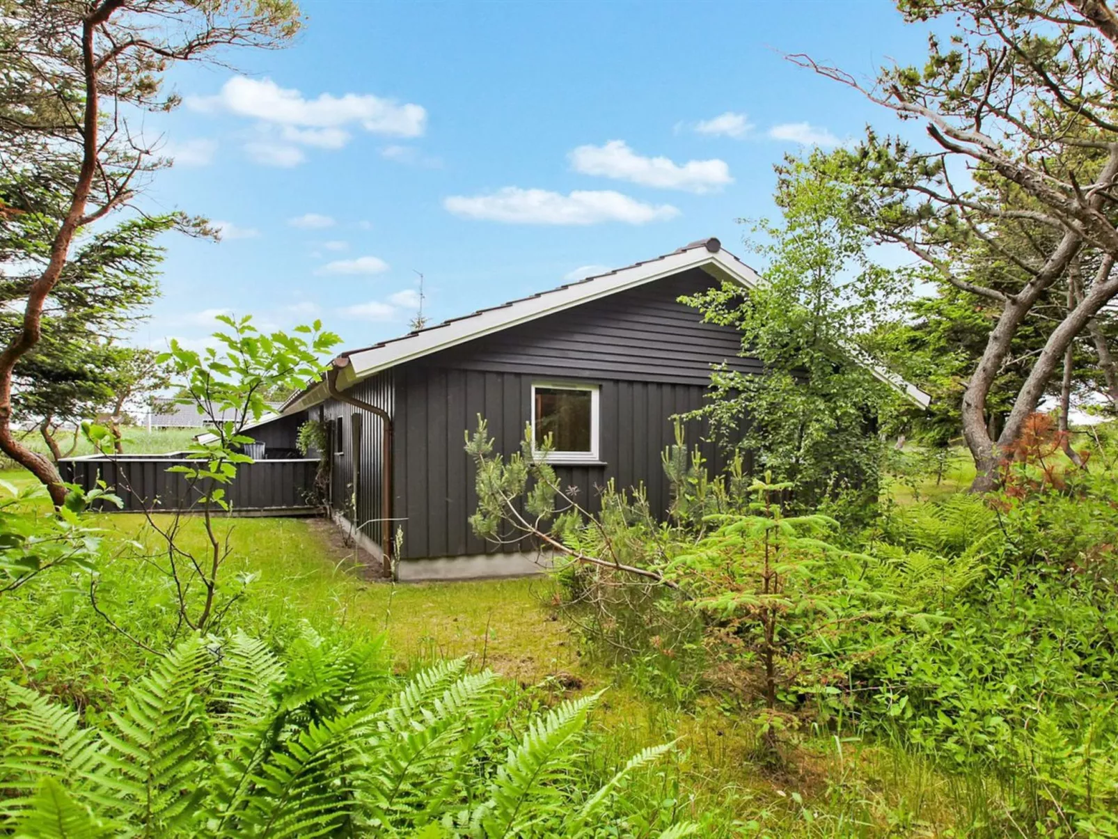 "Andersen" - 827m from the sea-Outside