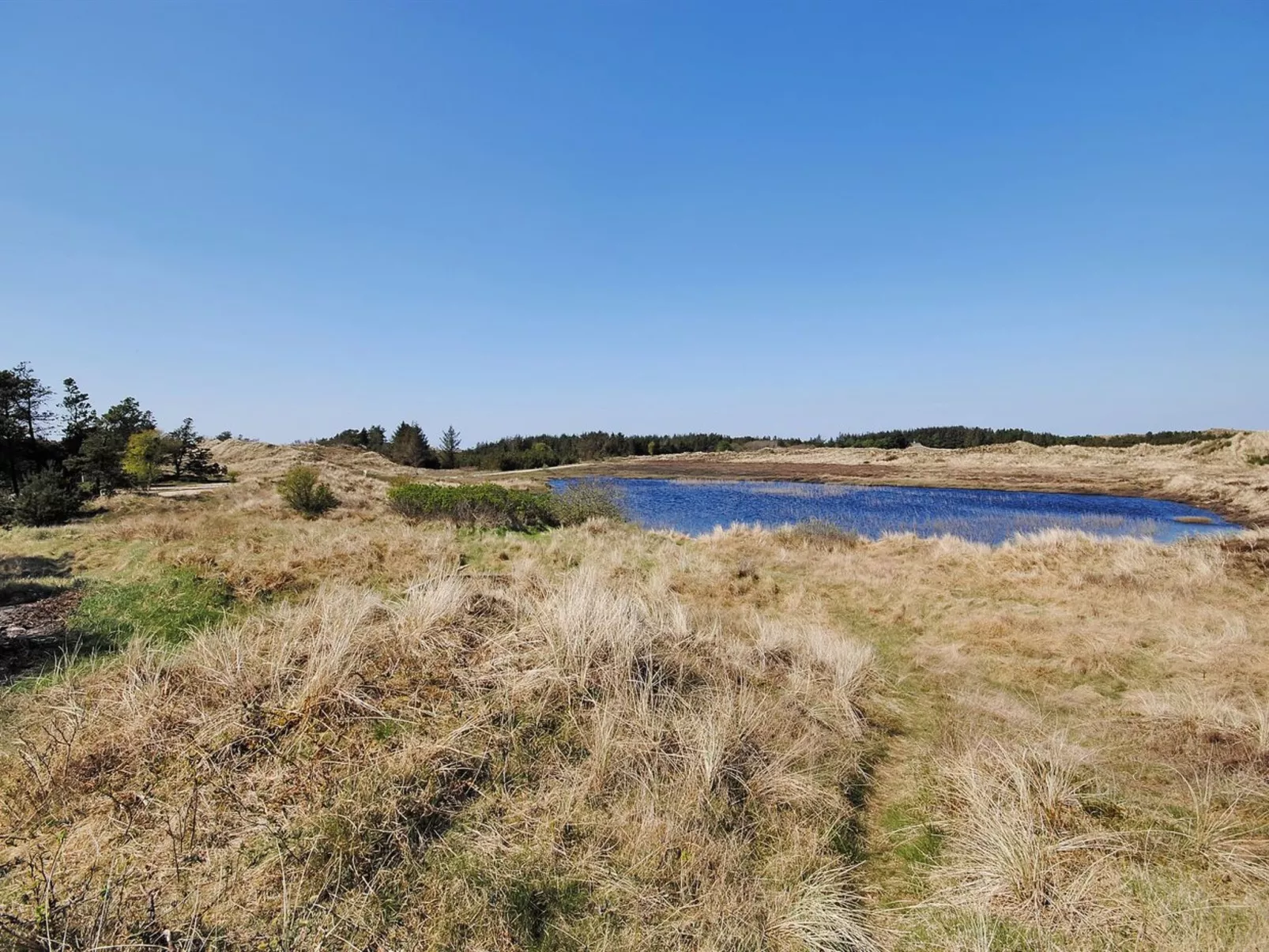 "Elisa" - 1.2km from the sea-Outside