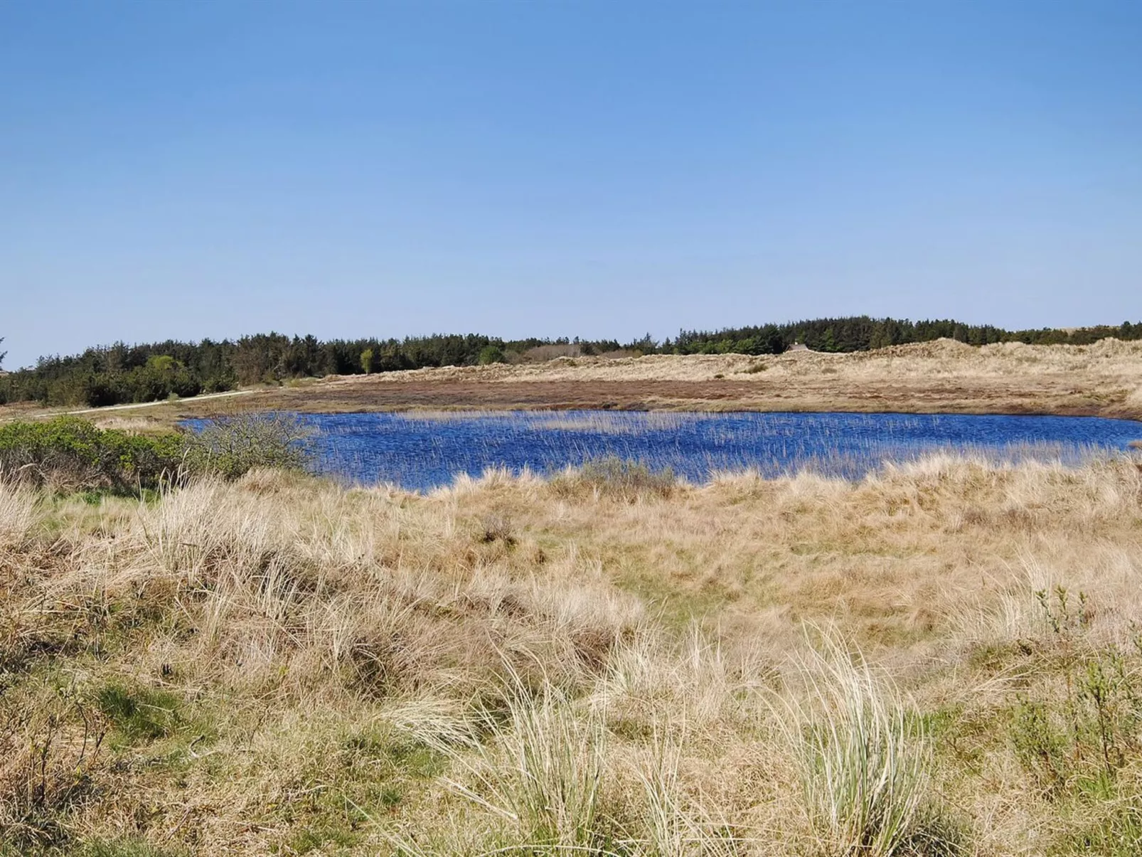 "Elisa" - 1.2km from the sea-Outside