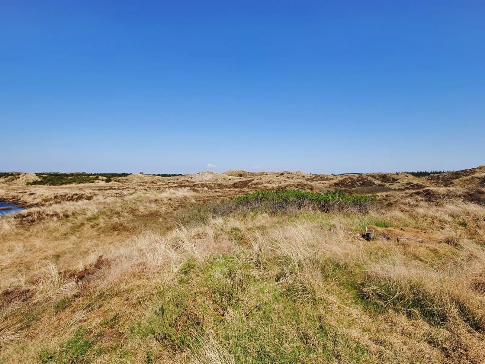 "Elisa" - 1.2km from the sea-Outside