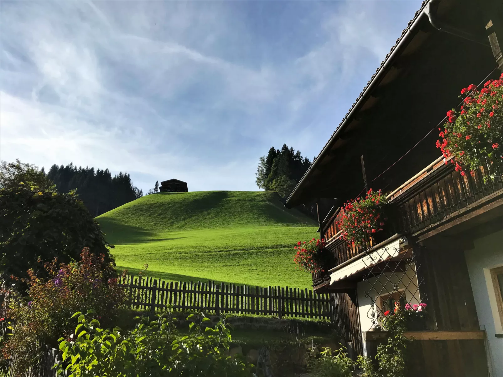 Chalet Edelweiß-Outside