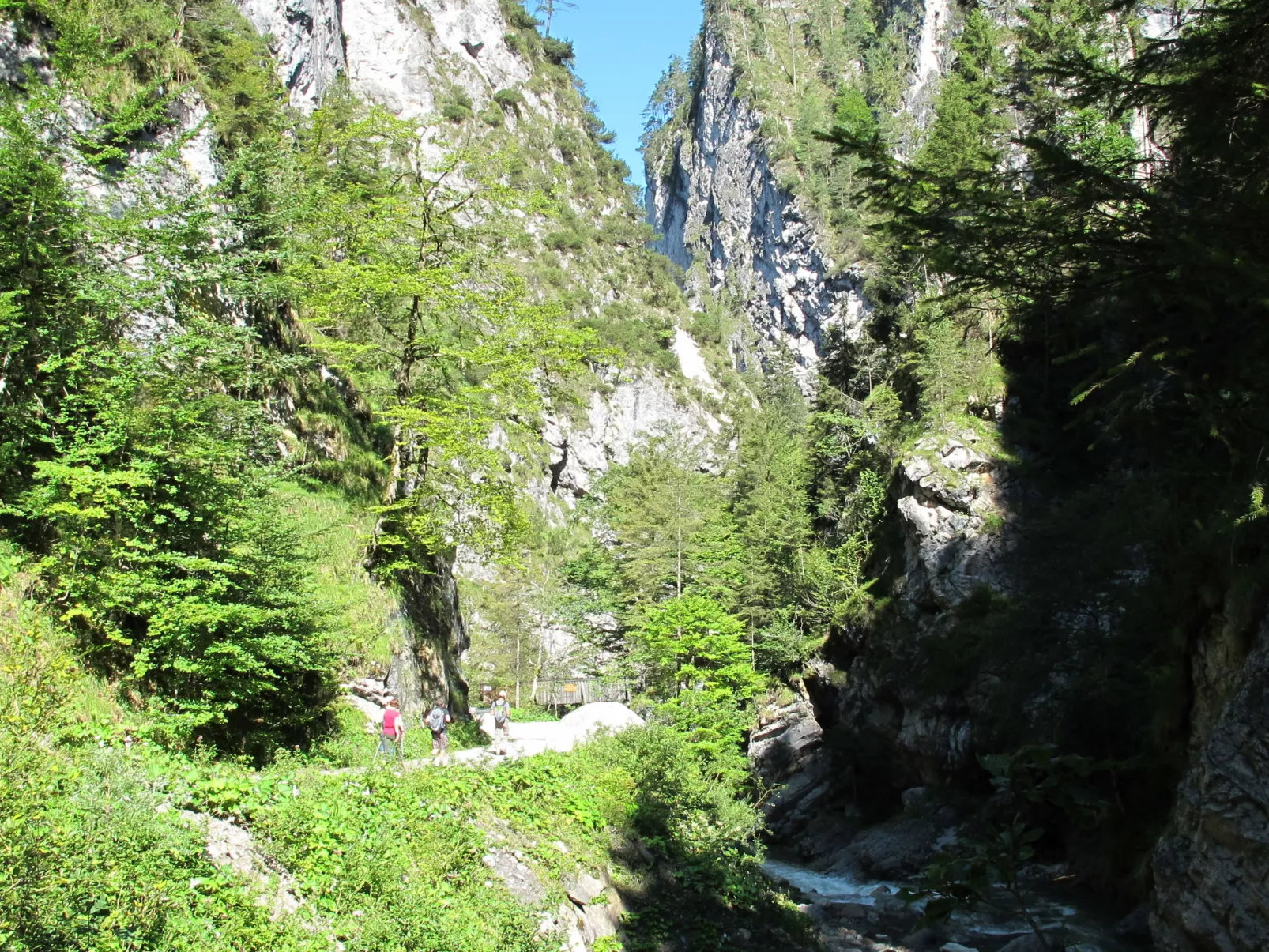 Chalet Edelweiß-Area