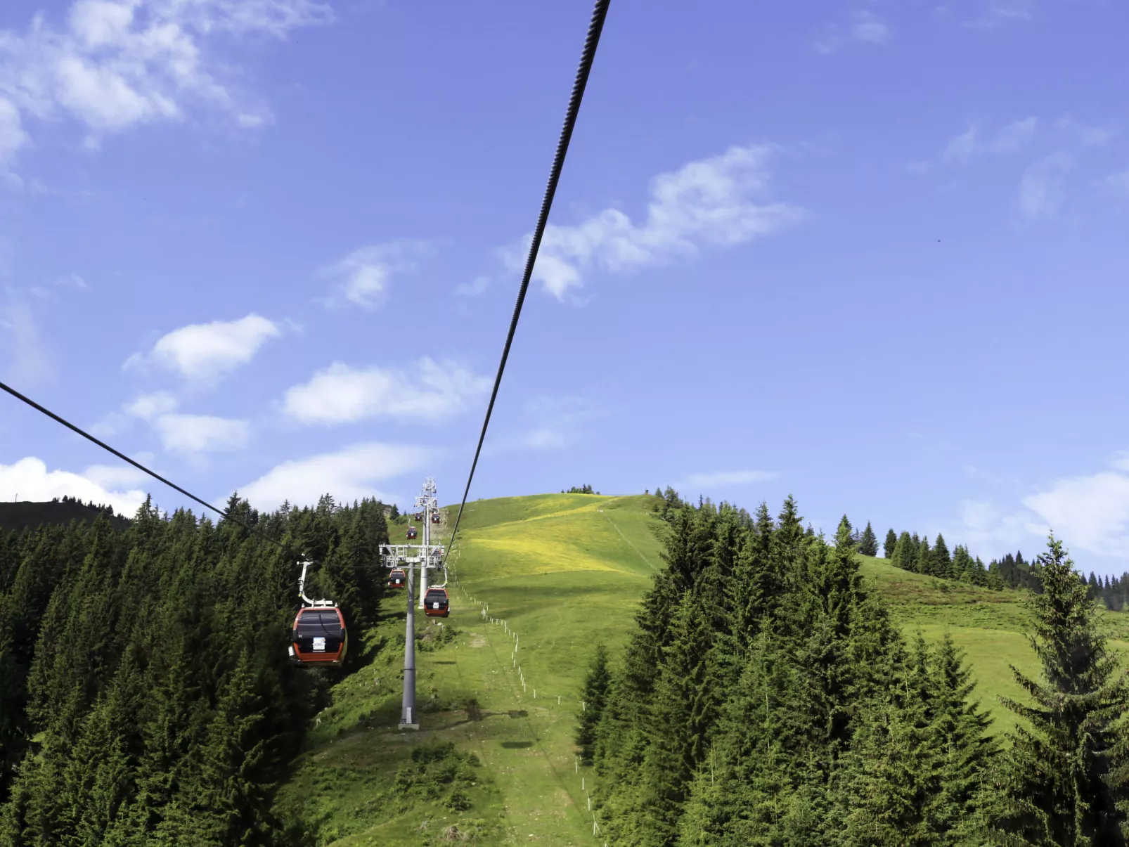 Chalet Edelweiß-Area