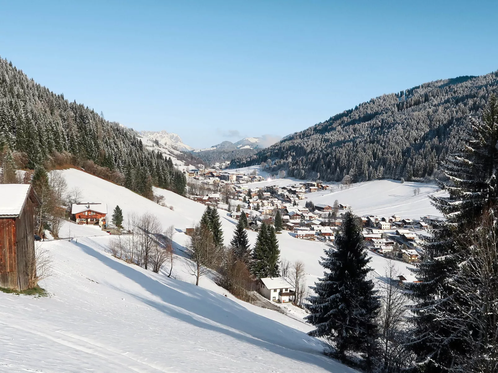Chalet Edelweiß-Area