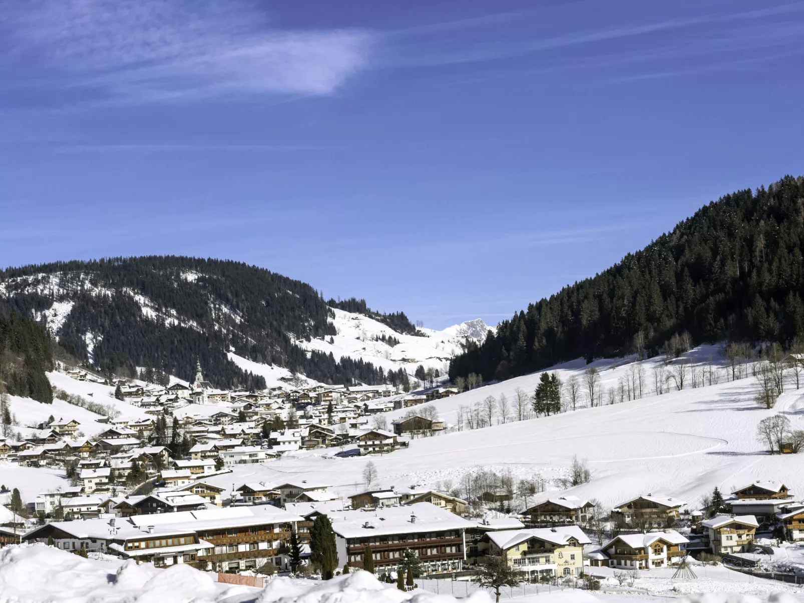 Chalet Edelweiß-Area