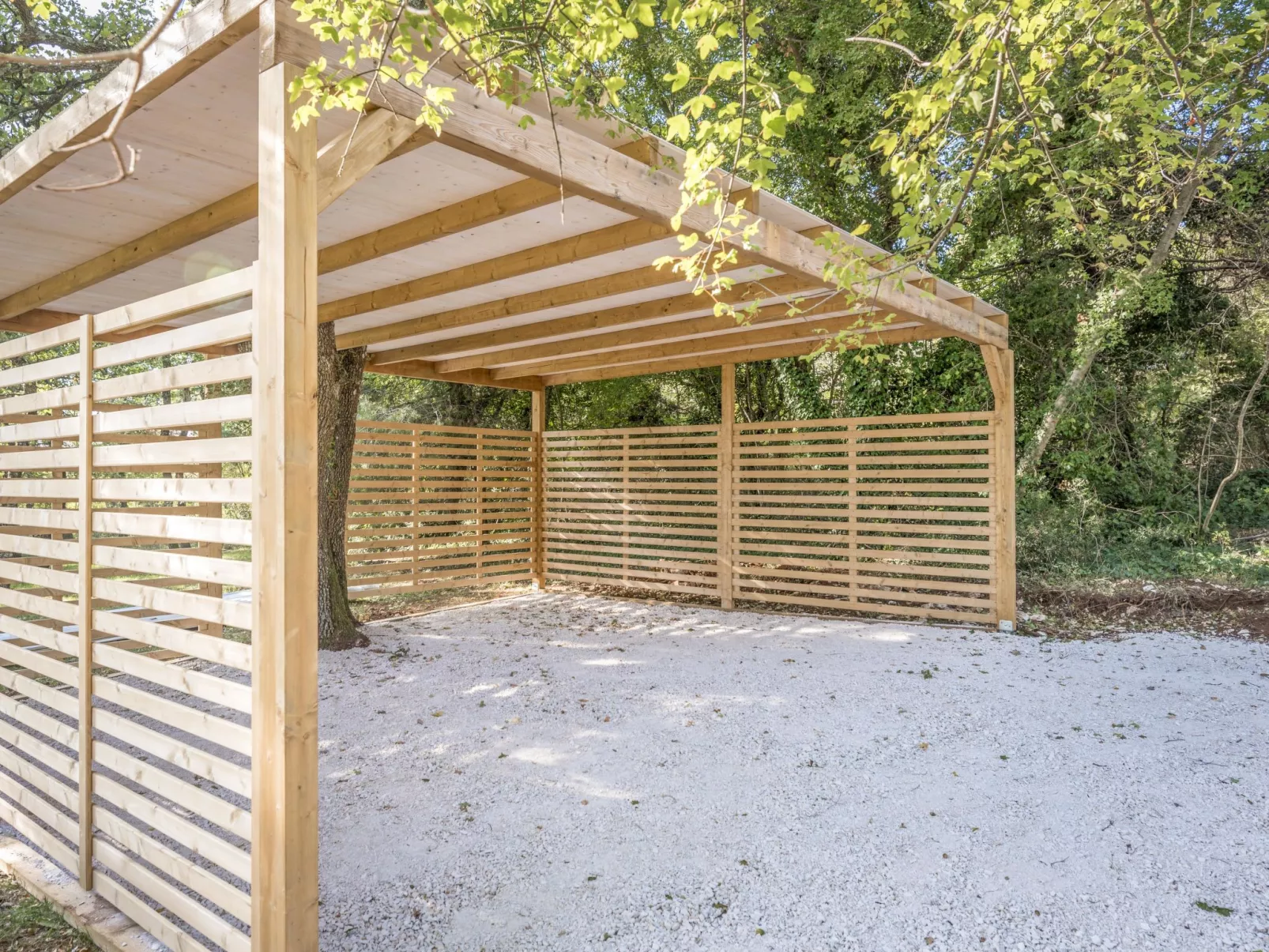 Cetina-Inside
