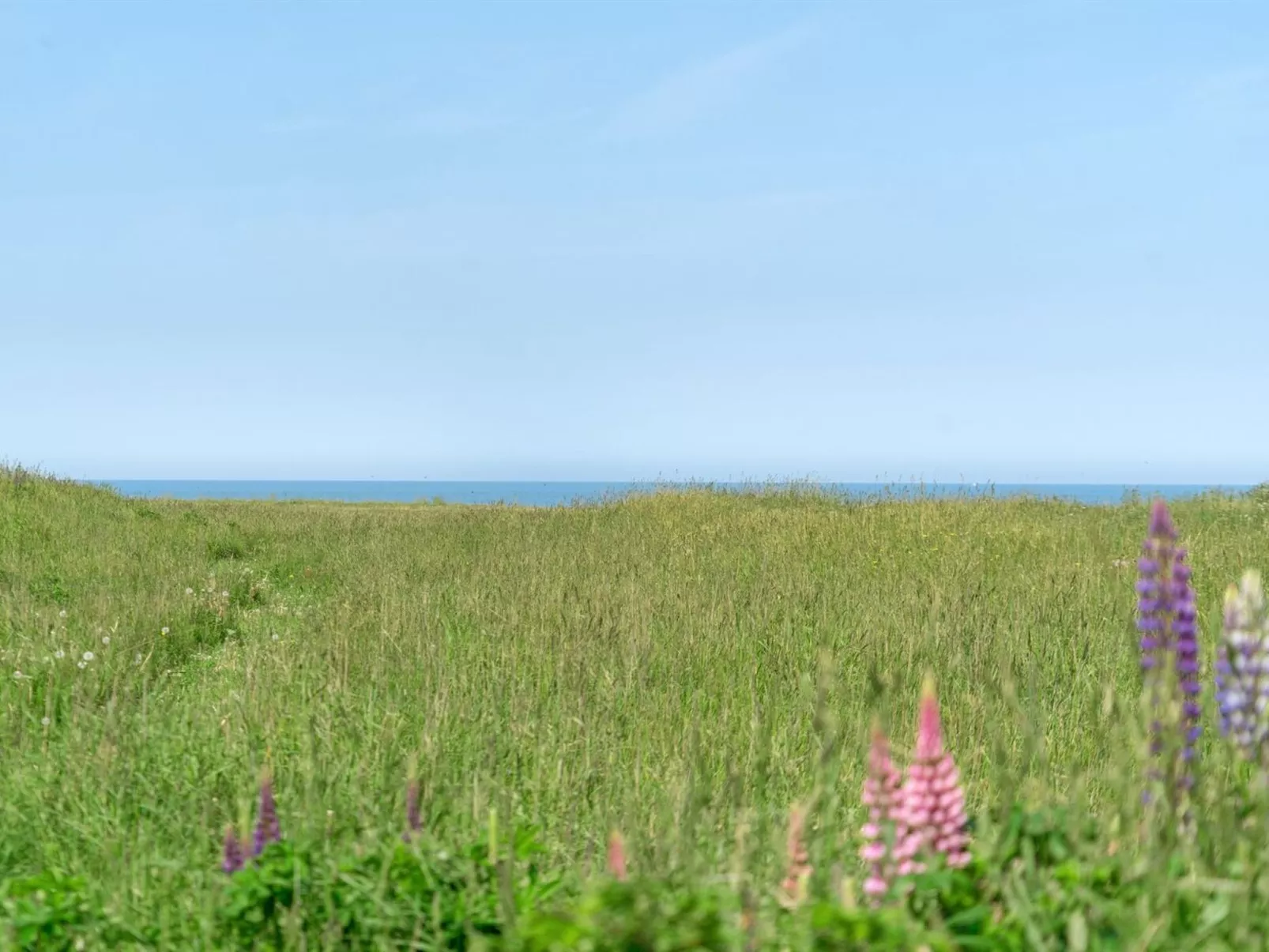 "Ananda" - 245m from the sea-Outside