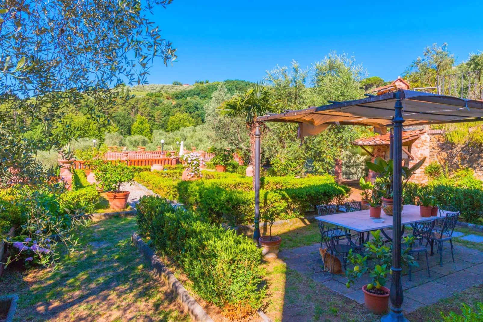 Geraneo-Terrace balcony