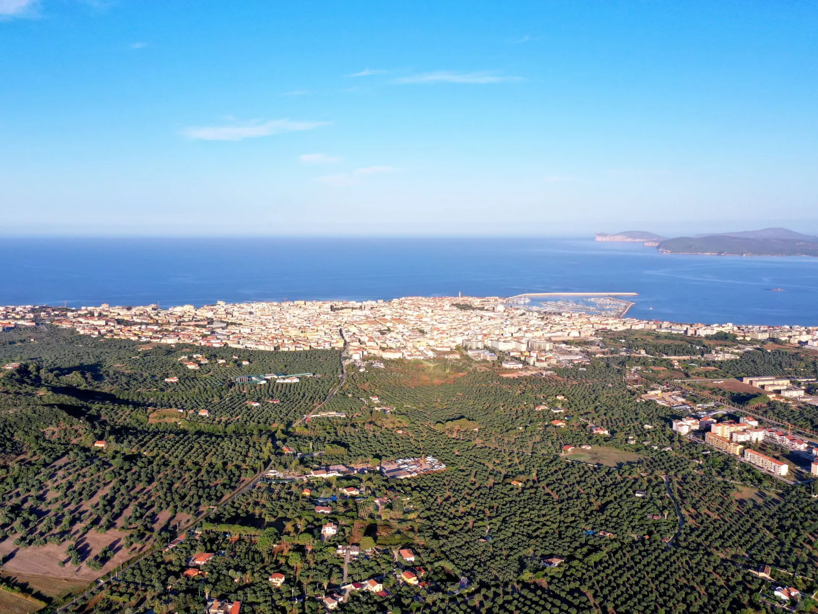 Essenthia-Area