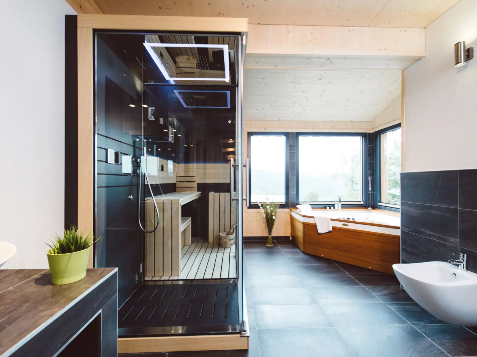 #2 mit IR-Sauna & Sprudelwanne innen-Inside