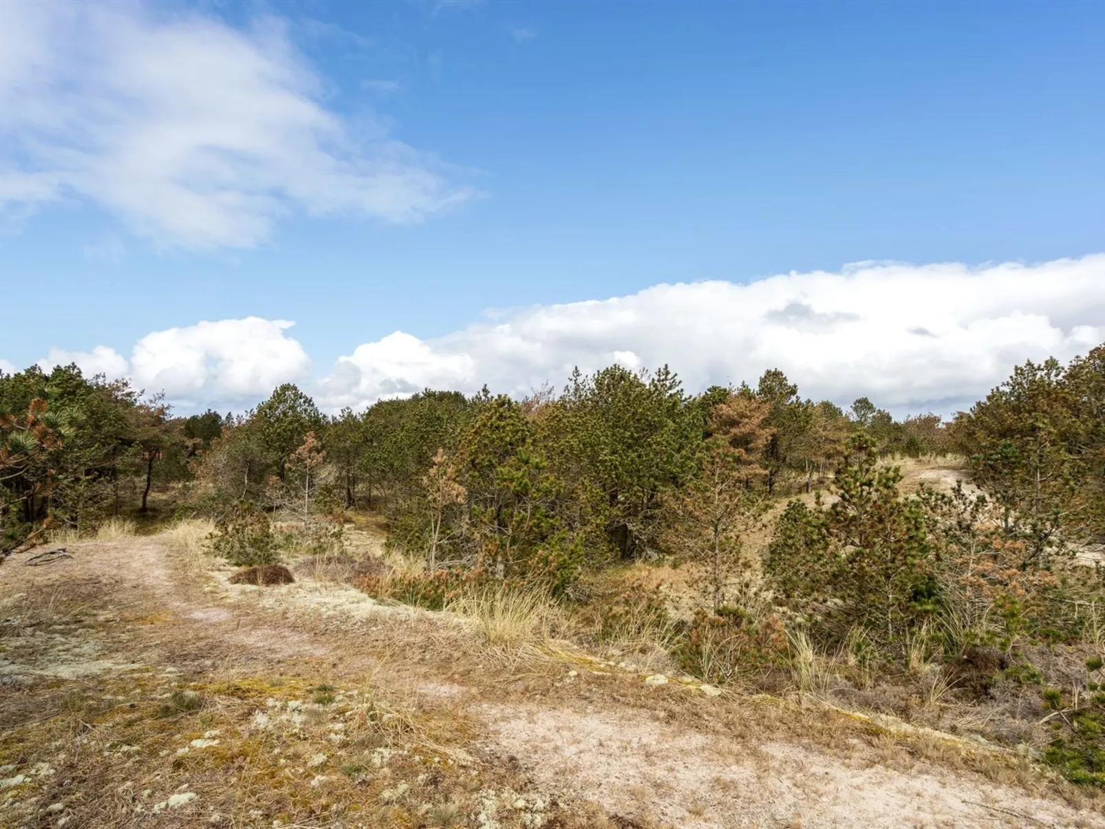 "Eldert" - 1.2km from the sea-Outside
