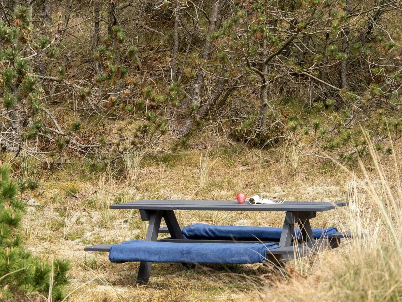 "Eldert" - 1.2km from the sea-Outside