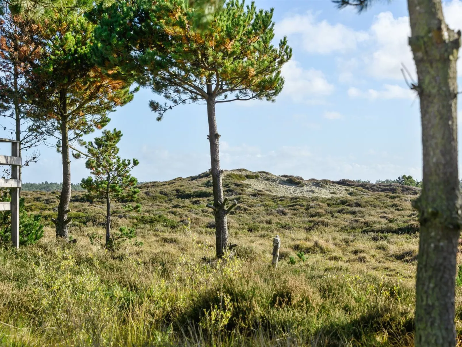 "Trana" - 2km from the sea-Outside