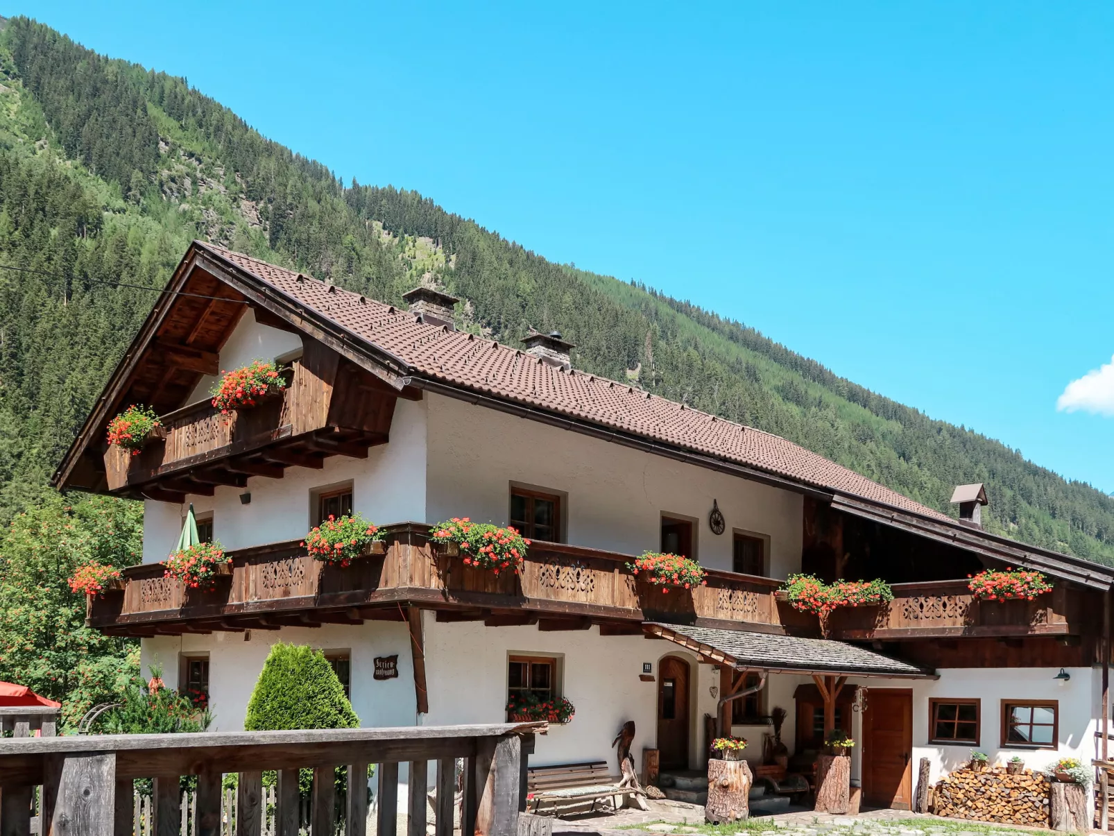 Haflingerhof Almrose-Outside