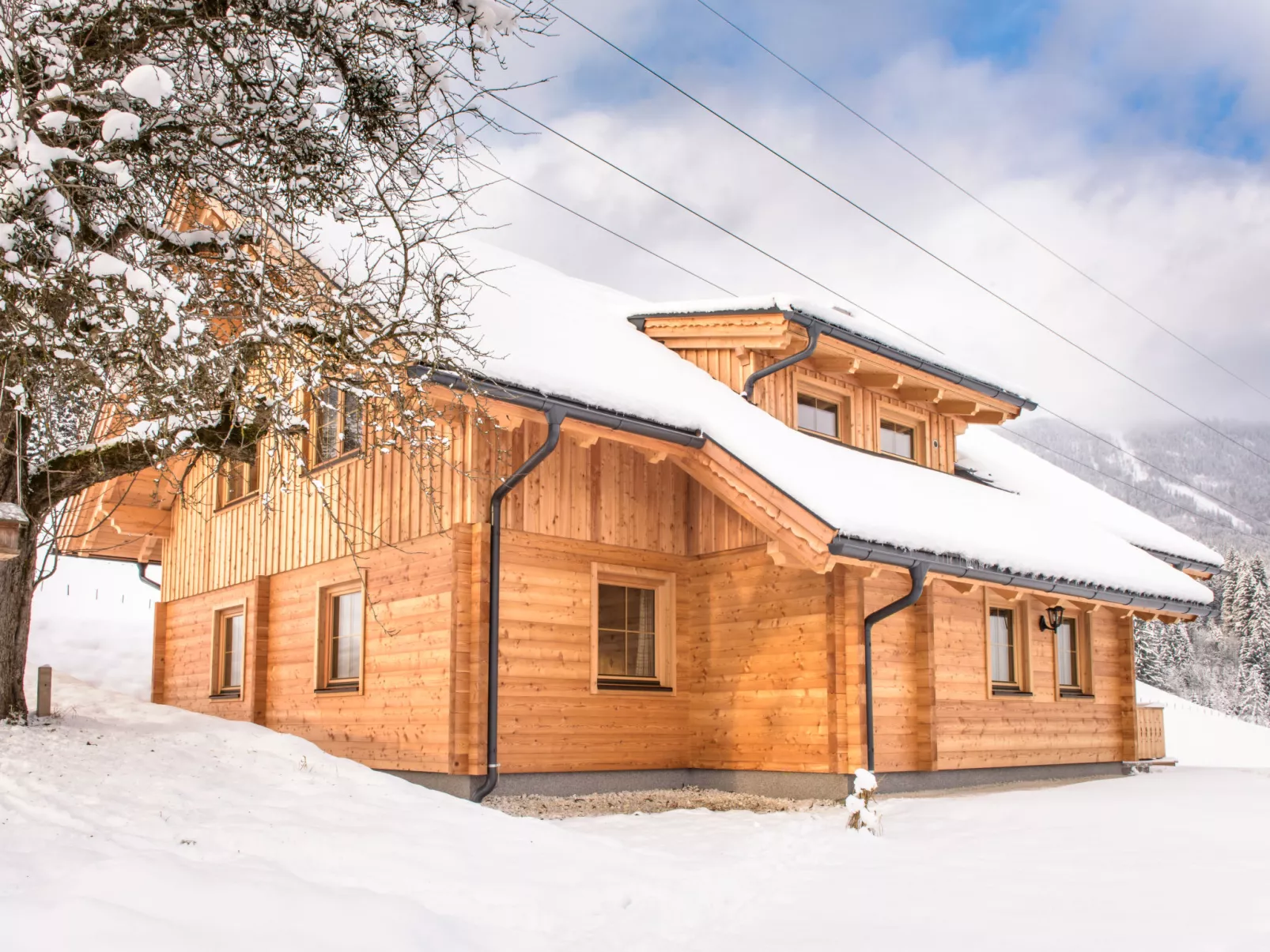 Grimmingblickhütte-Outside