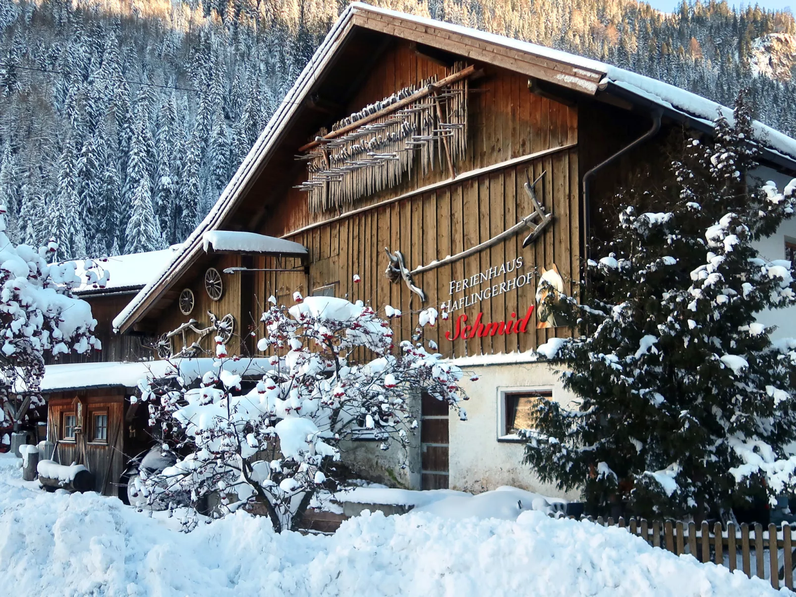 Haflingerhof Almrose-Outside