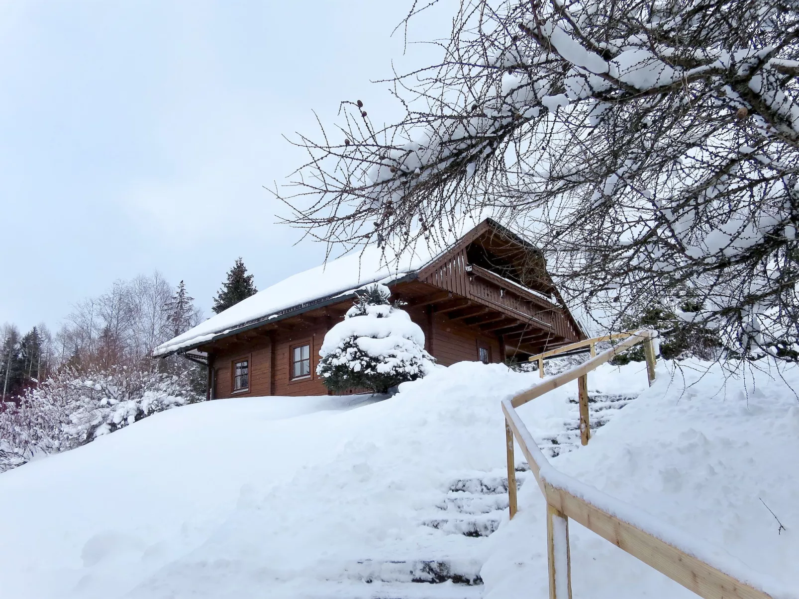 Simons Blockhütte-Outside