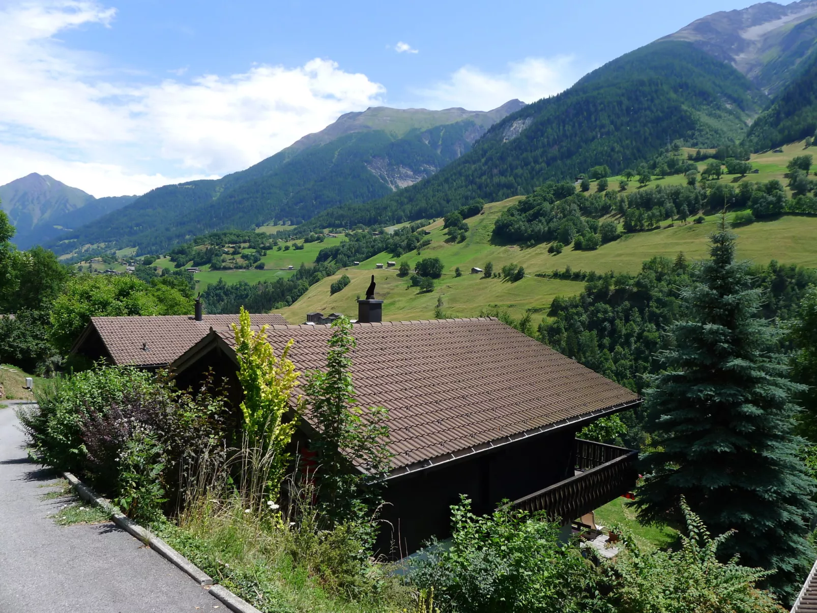 Chalet Walliserträumli (BET410)-Outside