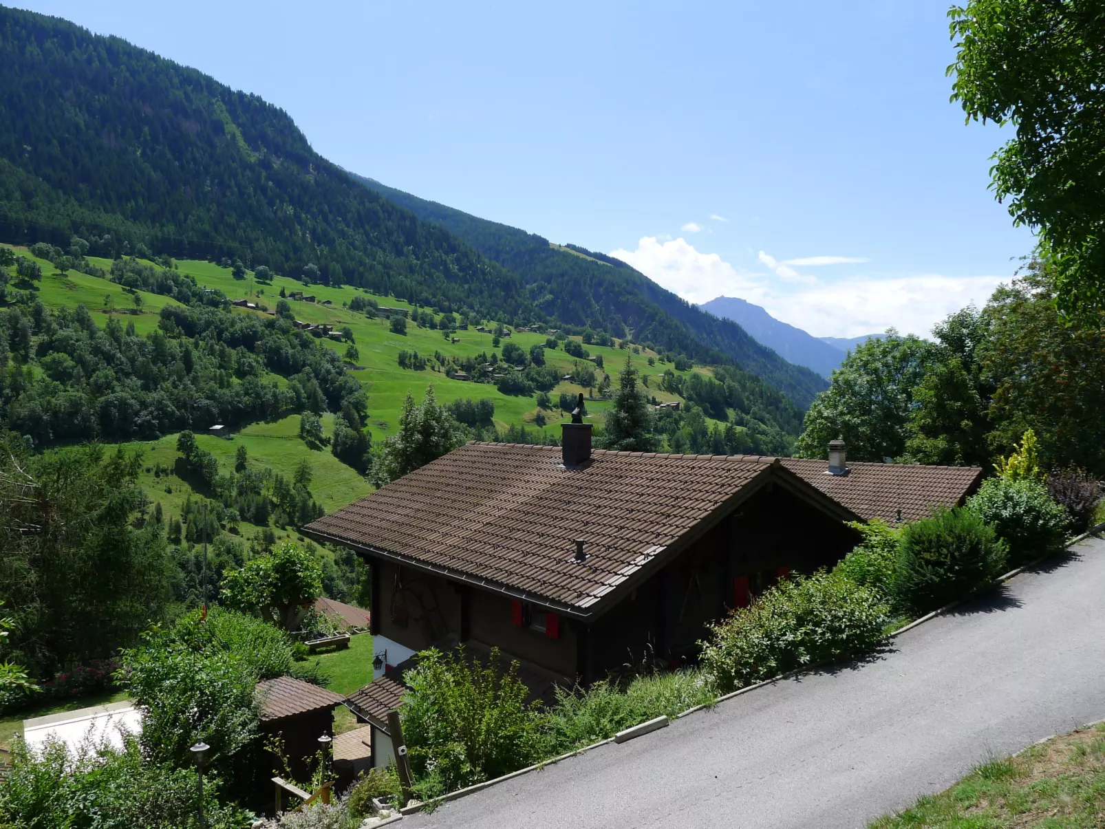 Chalet Walliserträumli (BET410)-Outside