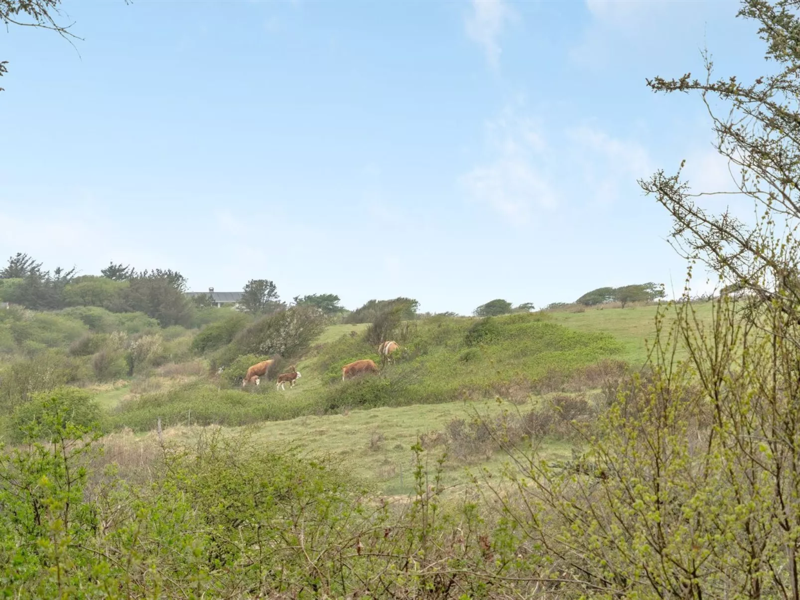 "Roxanne" - 700m from the sea-Outside