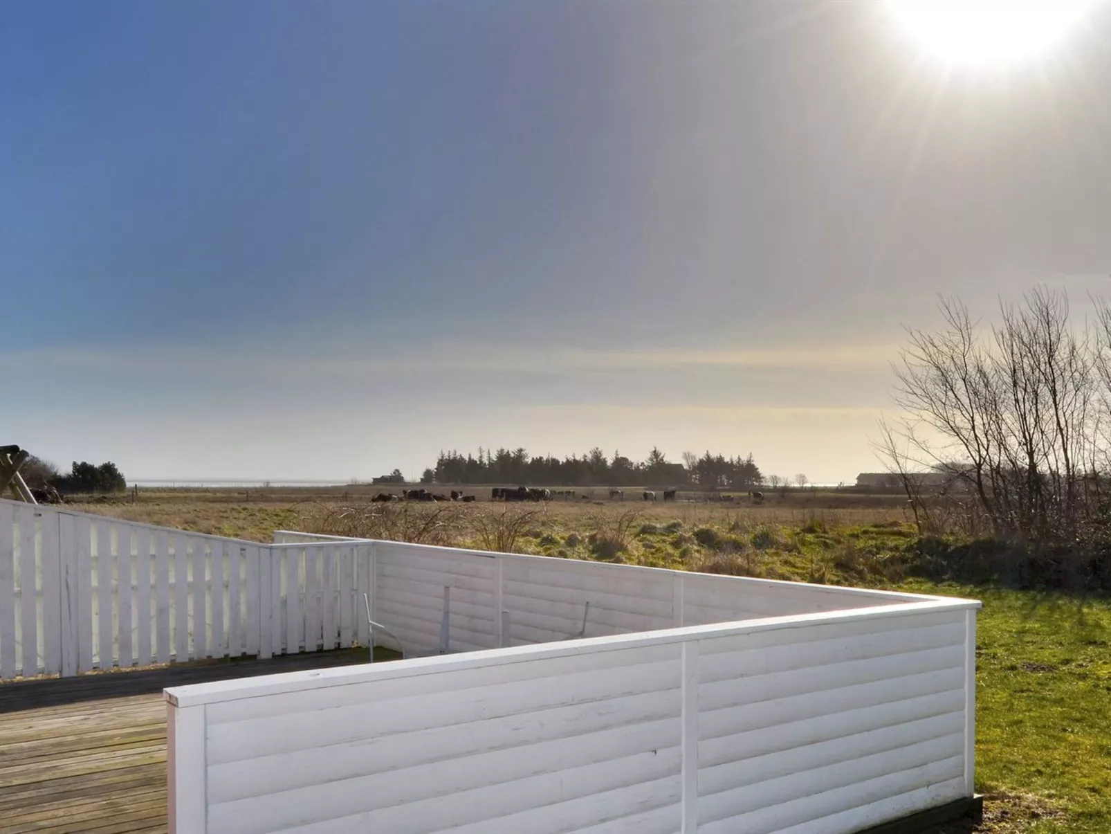 "Willi" - 3km from the sea-Draußen
