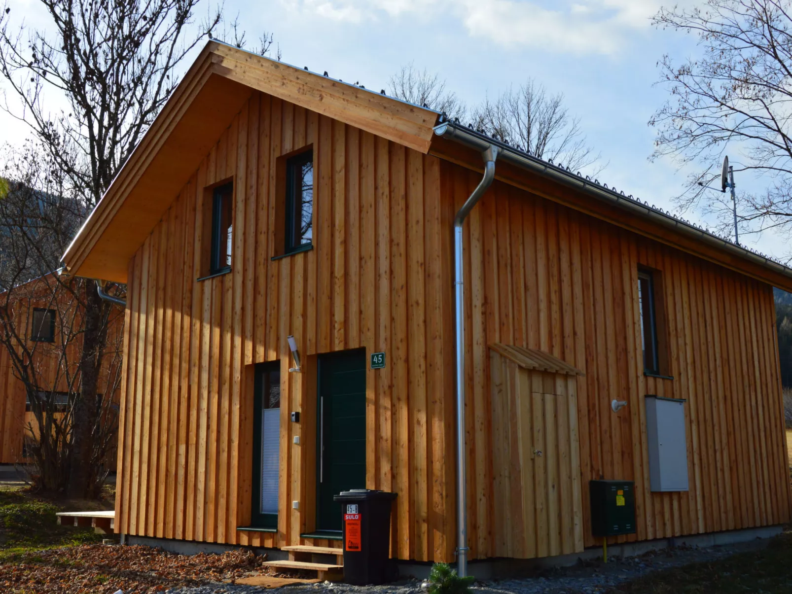 Chalet mit 4 Schlafzimmern-Inside