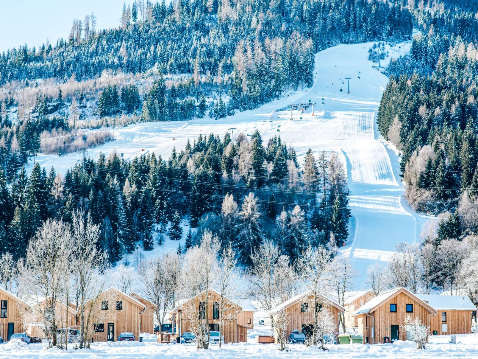 Chalet mit 4 Schlafzimmern-Outside