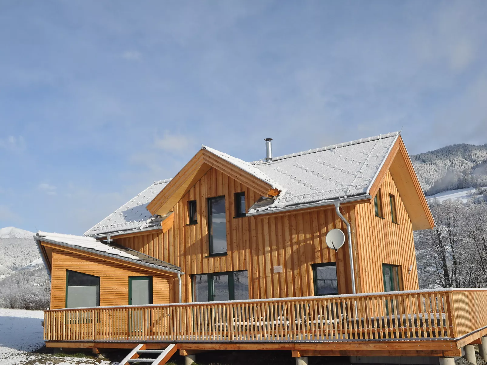 Chalet mit 4 Schlafzimmern-Outside