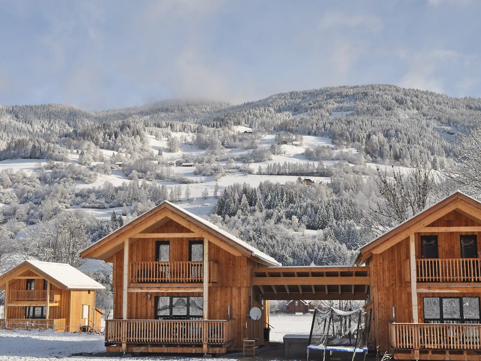 Chalet mit 4 Schlafzimmern-Outside