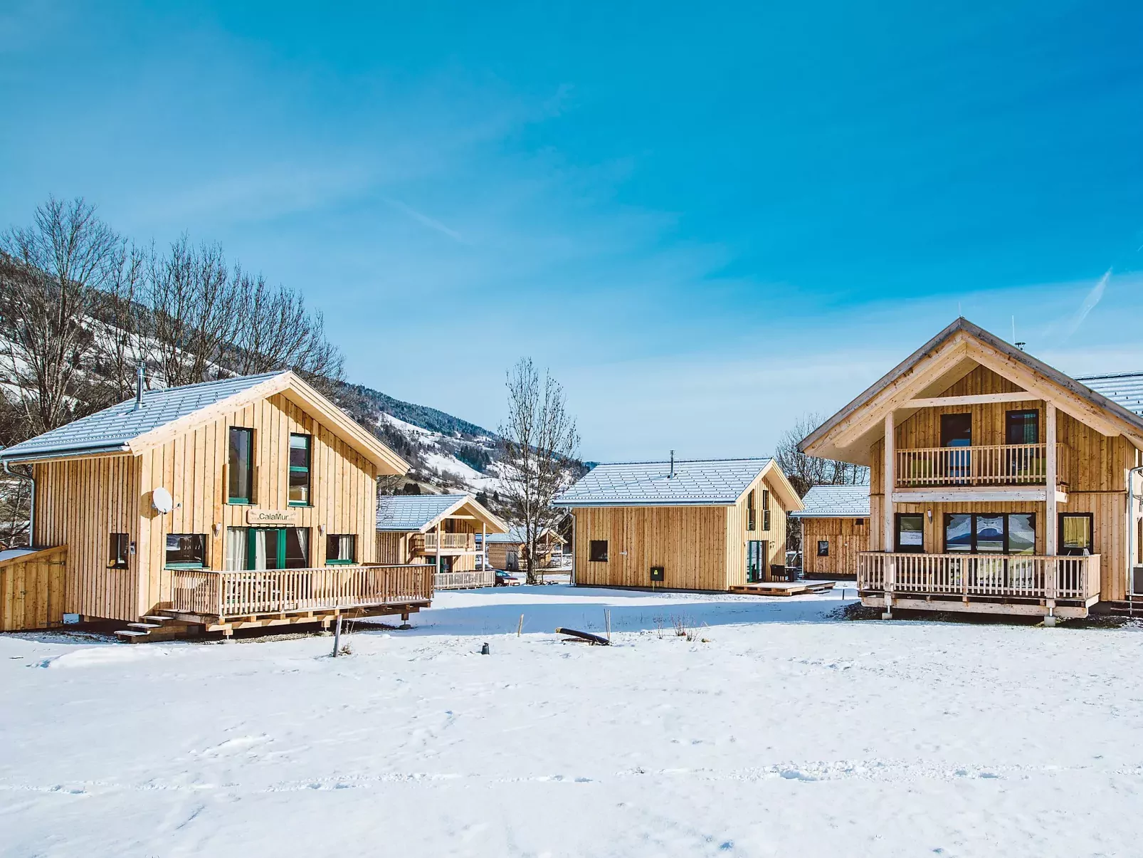 Chalet mit 4 Schlafzimmern-Outside