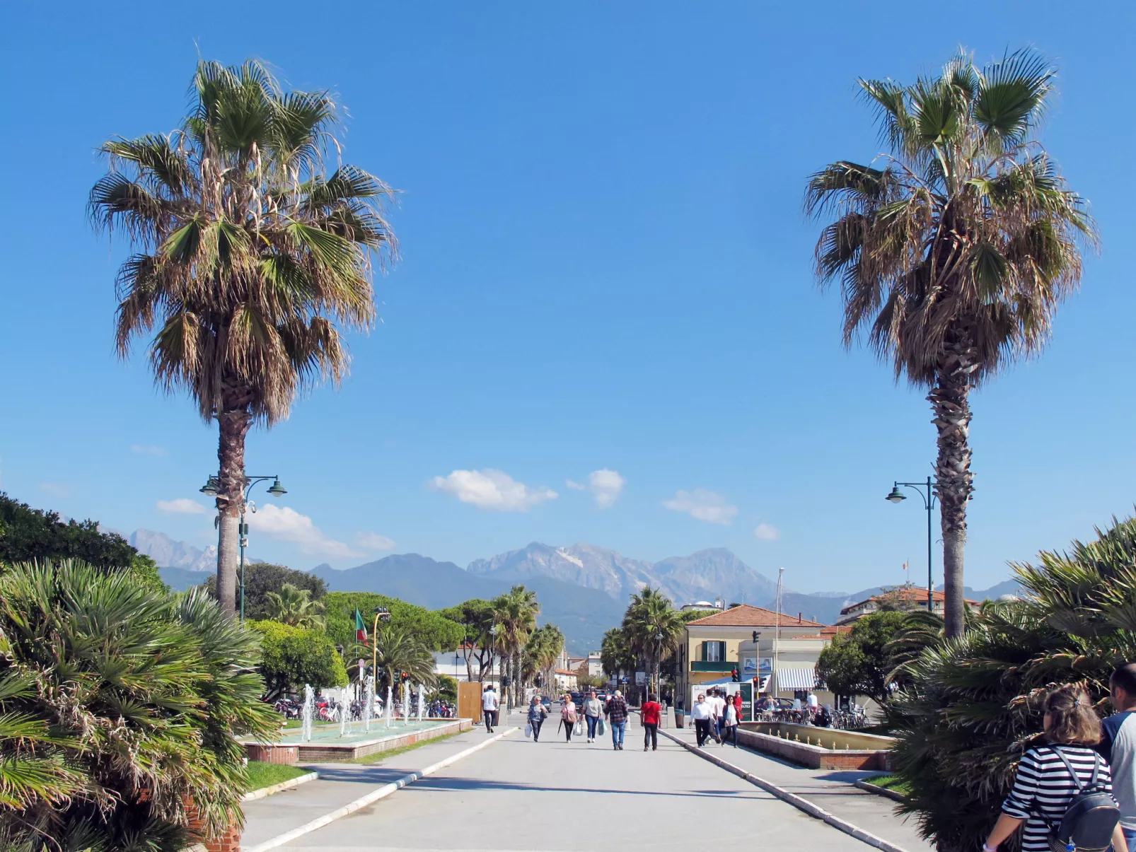 Simonetta-Area