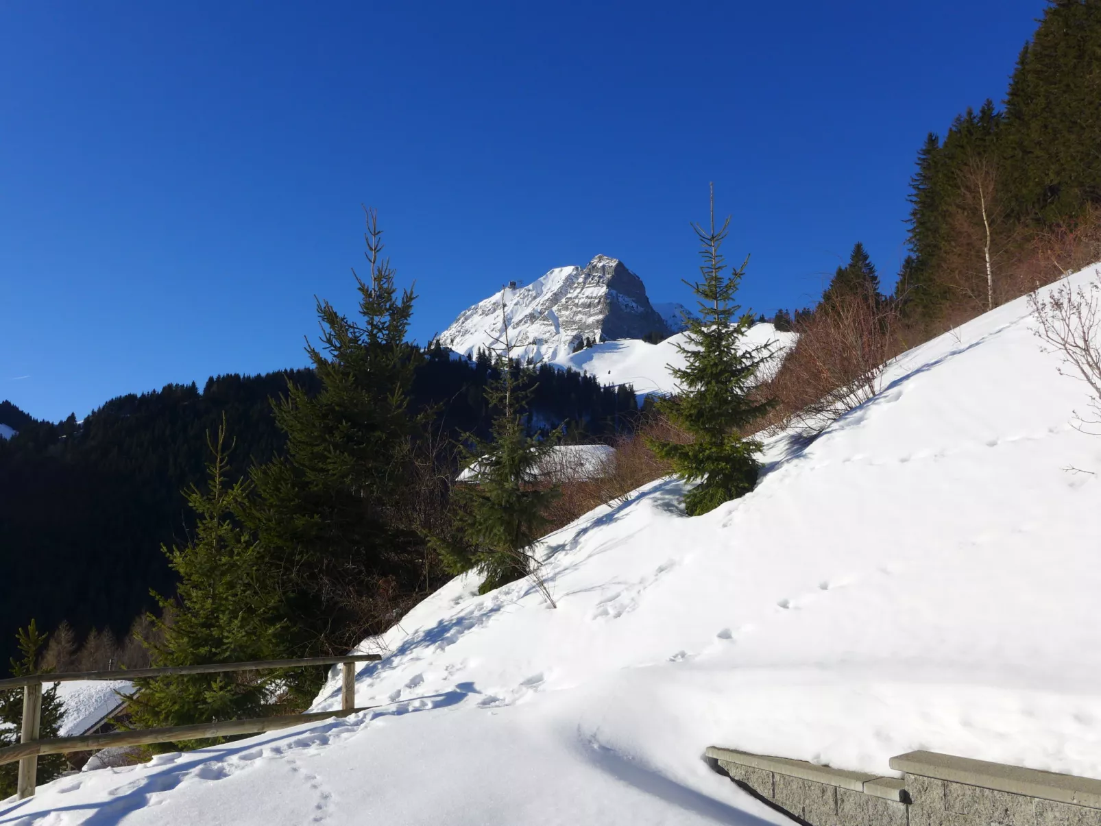 Andromède 3-pièces A34-Area
