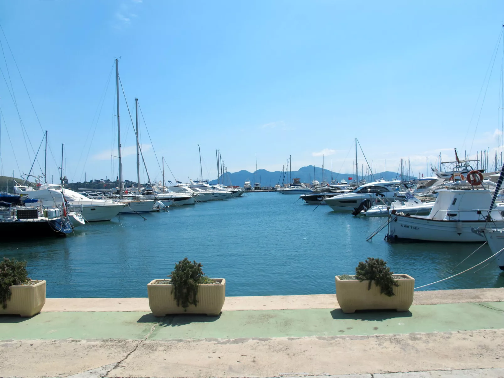Ullastro Pollença-Area