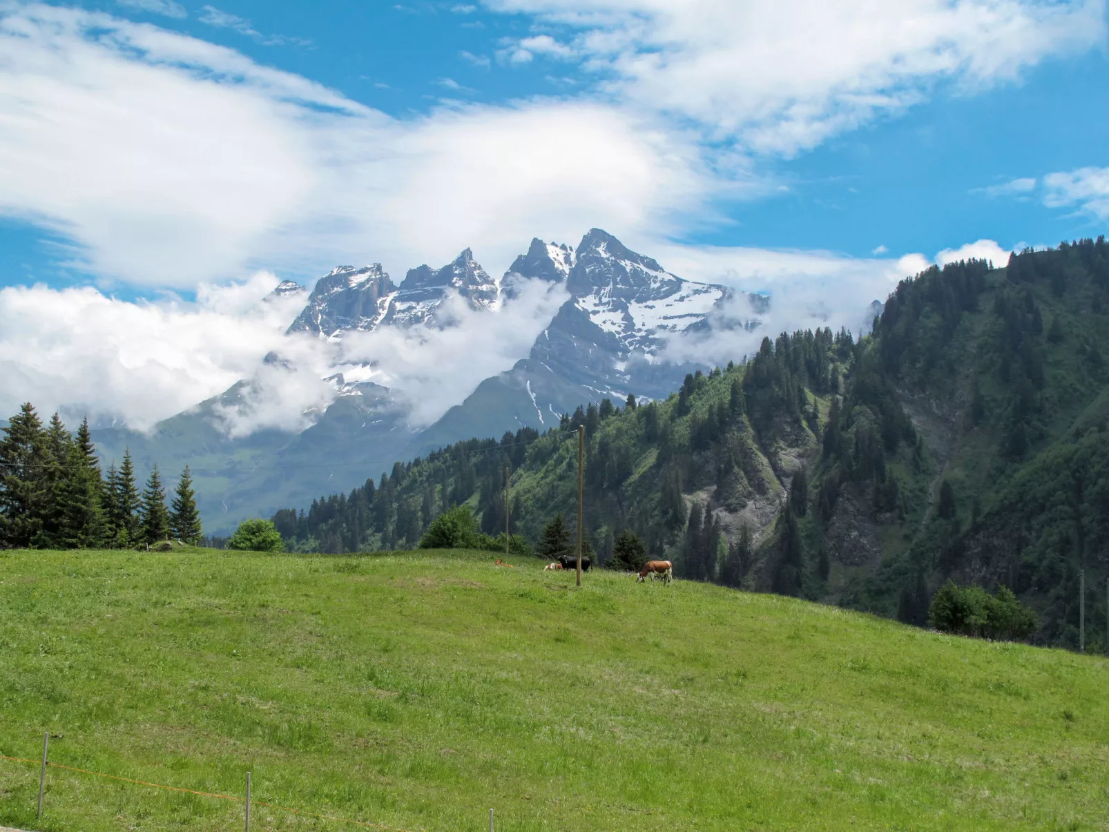 Les Cimes-Area