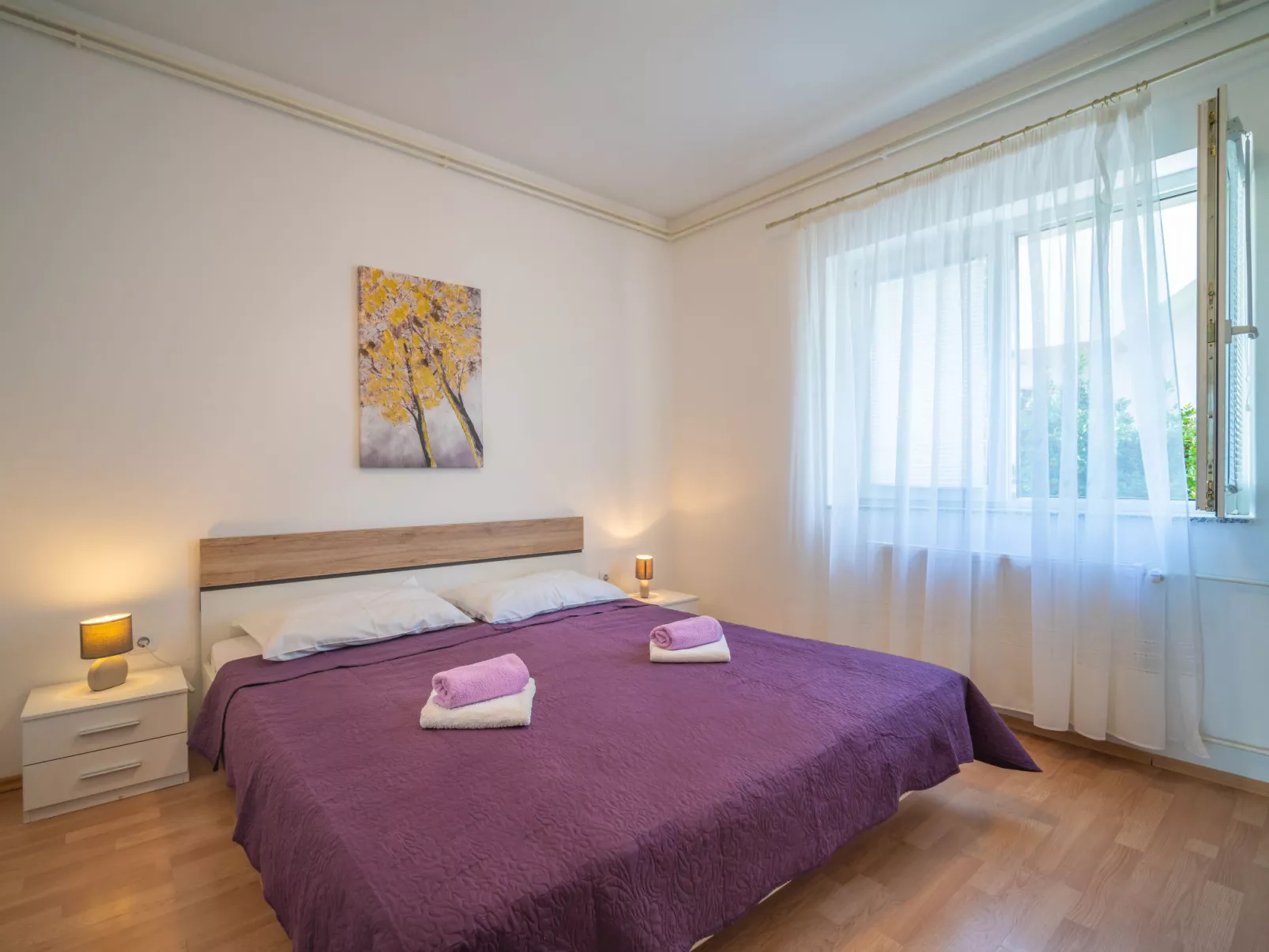 Šegulja-Inside