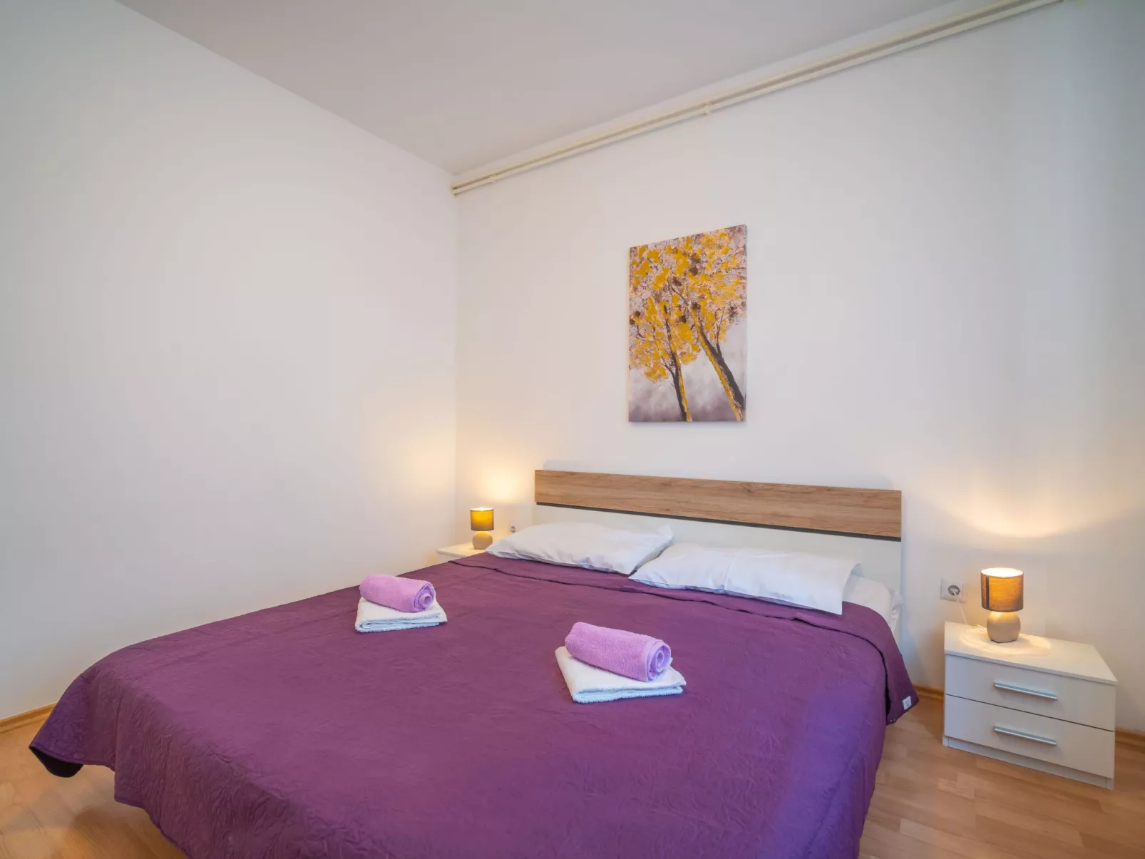 Šegulja-Inside