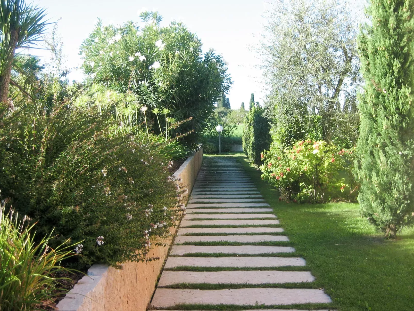 Le Camelie-Outside